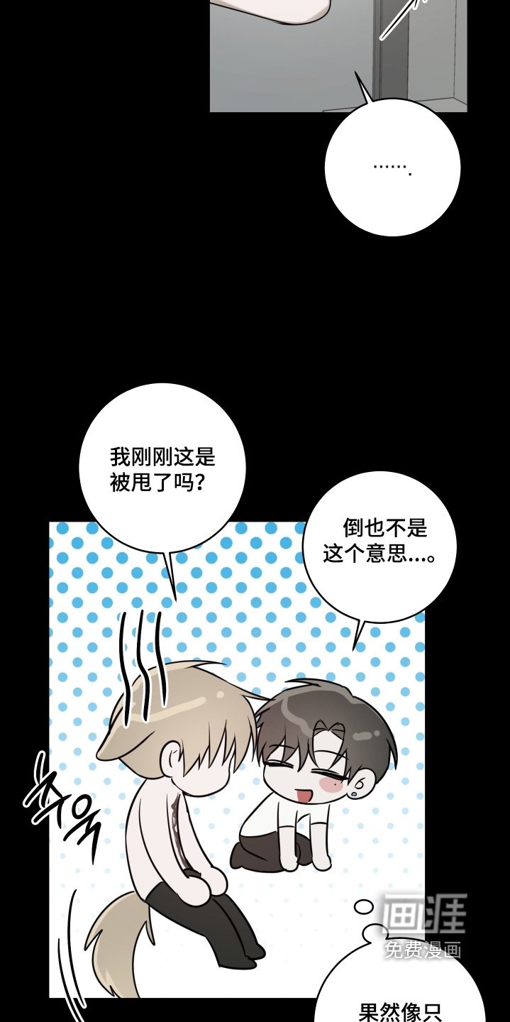 第49章：我等你