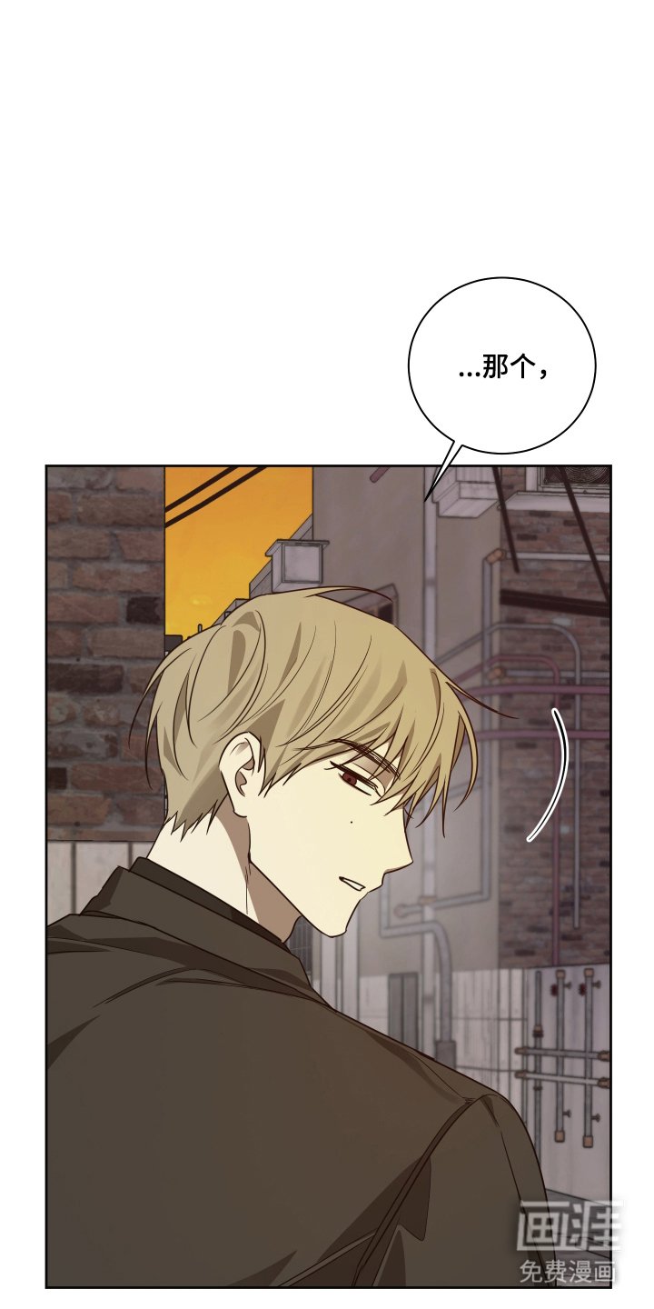 第5章：集中