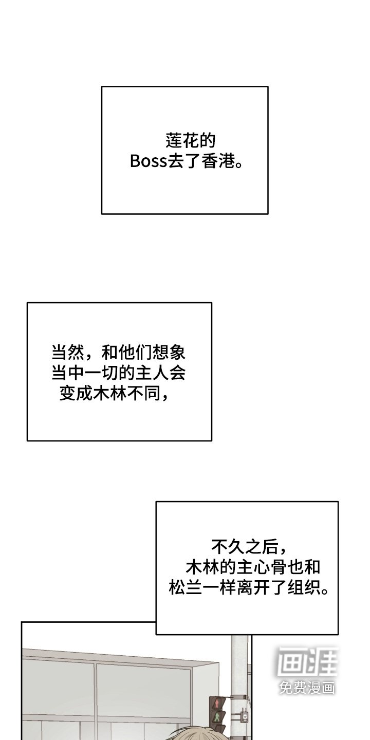 第50章：过来看看你