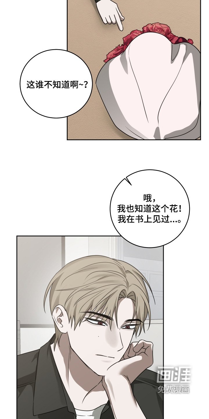 第51章：我回来了【完结】
