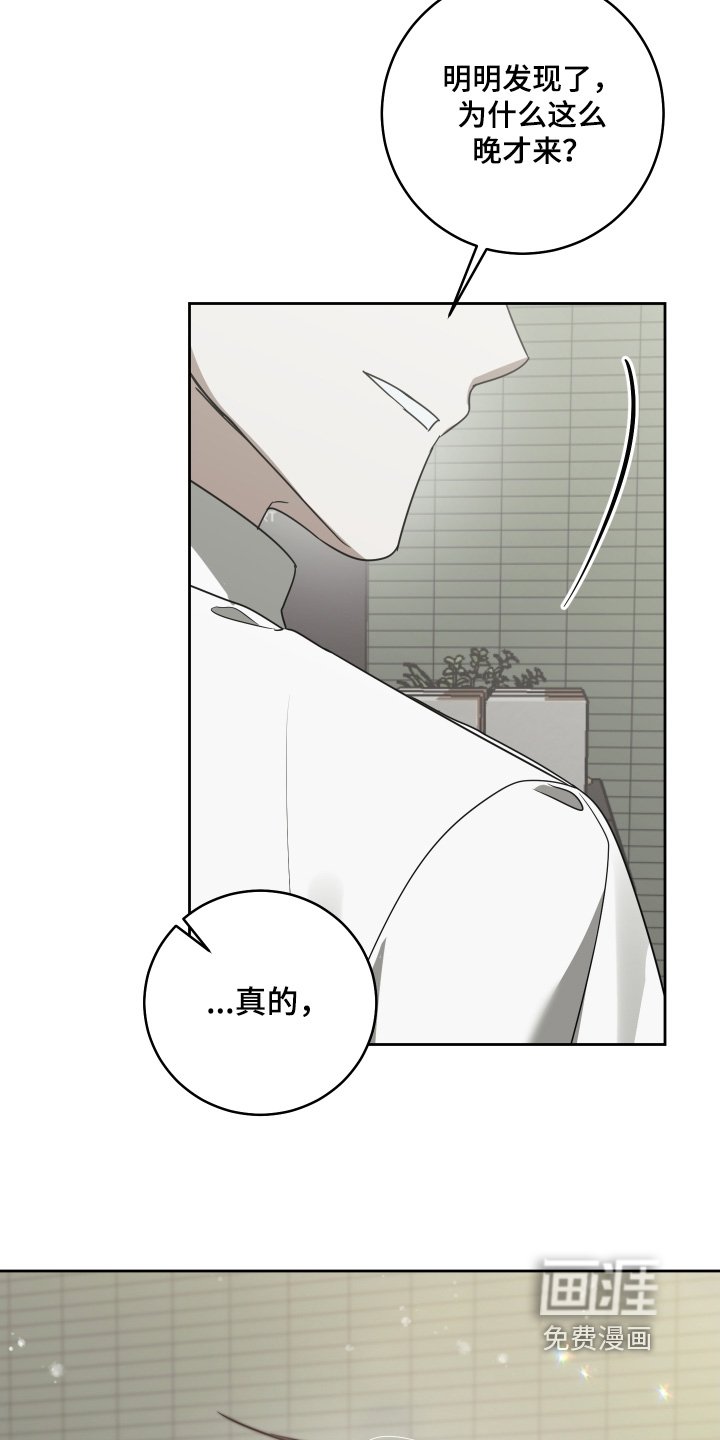 第51章：我回来了【完结】