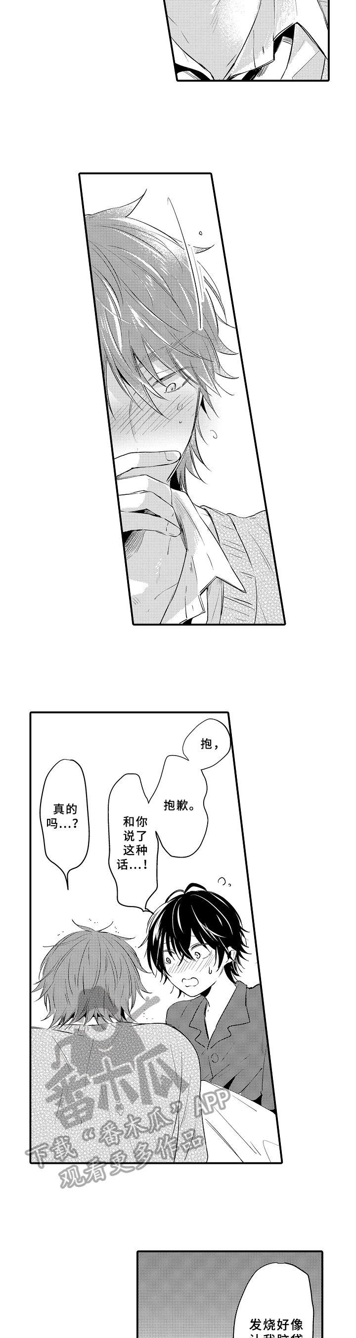 第29章：表白