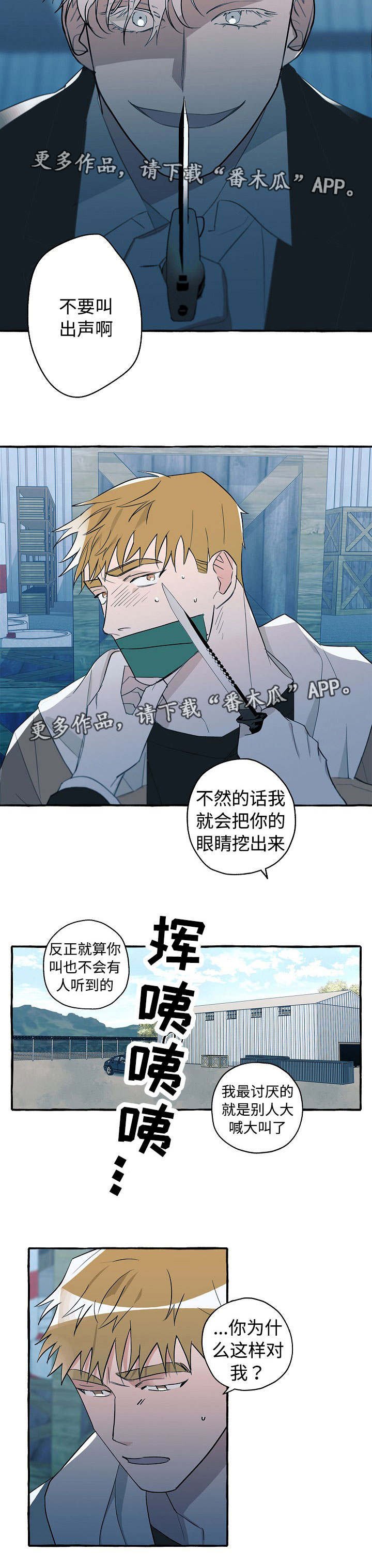 第29章：故意为之