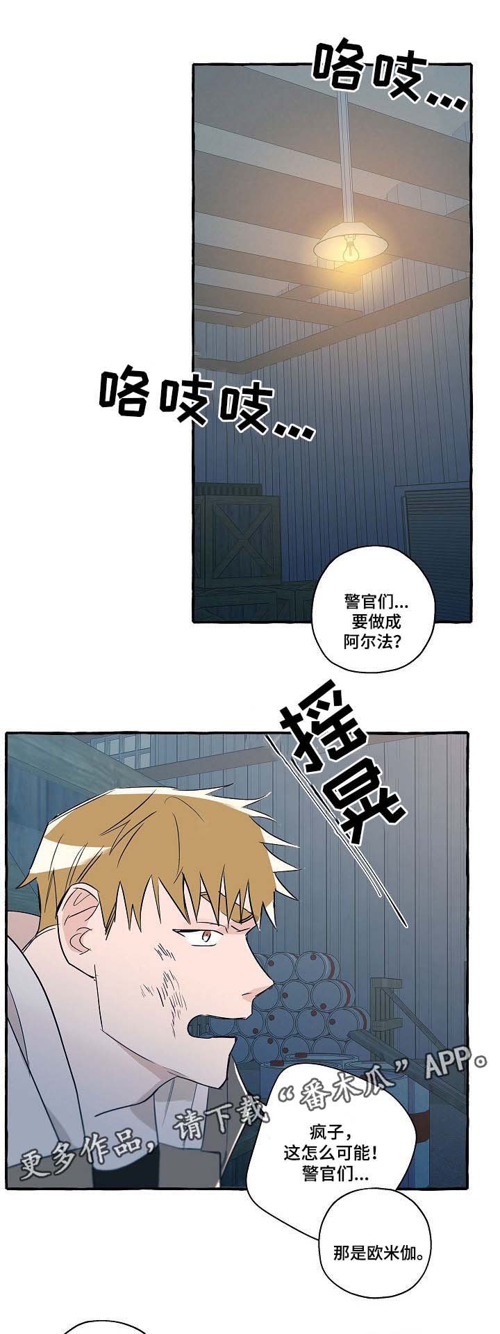 第31章：分析