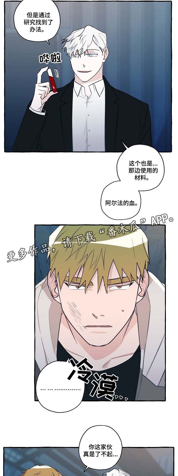 第31章：分析
