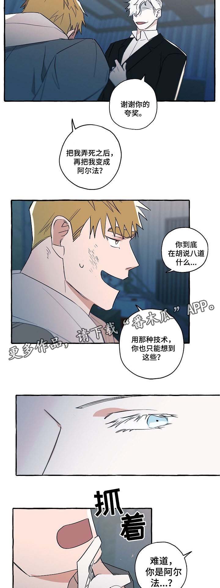 第31章：分析