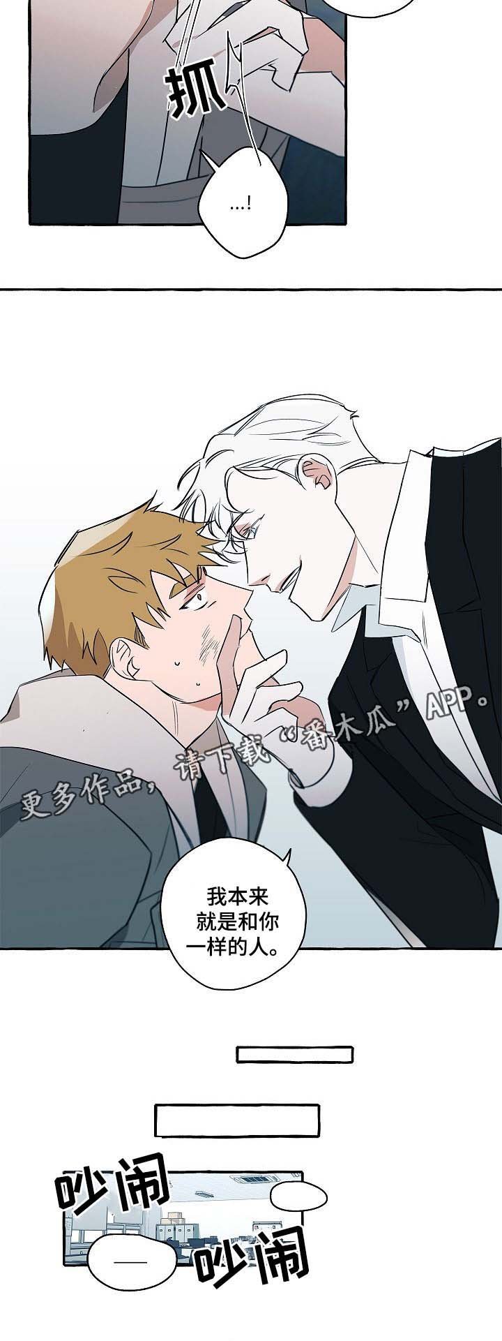 第31章：分析