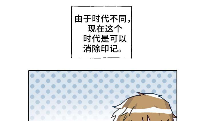 第45章：这就是爱情