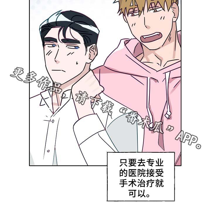 第45章：这就是爱情