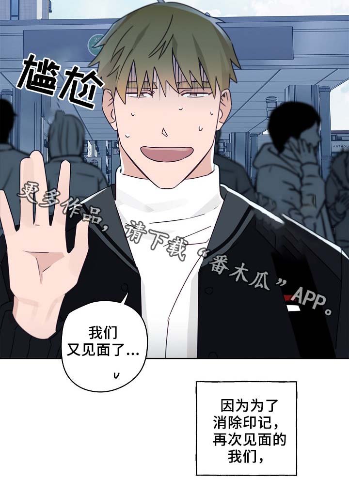 第45章：这就是爱情