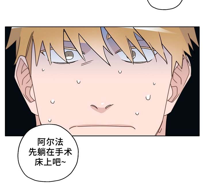 第46章：变了很多
