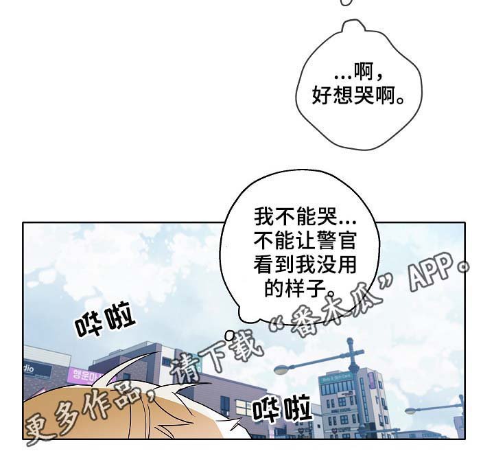 第47章：判决