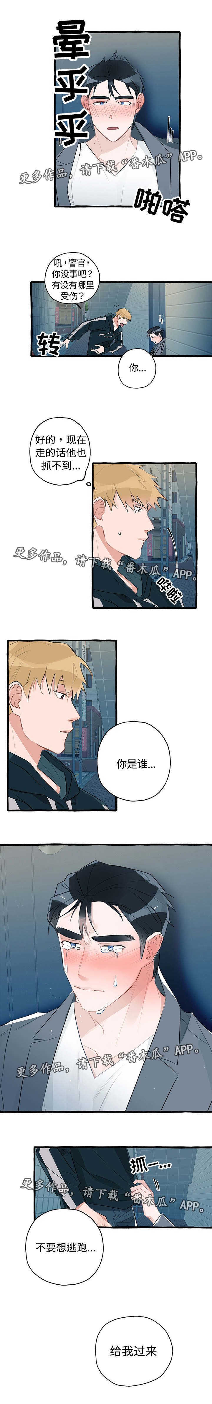 第5章：尽情玩耍