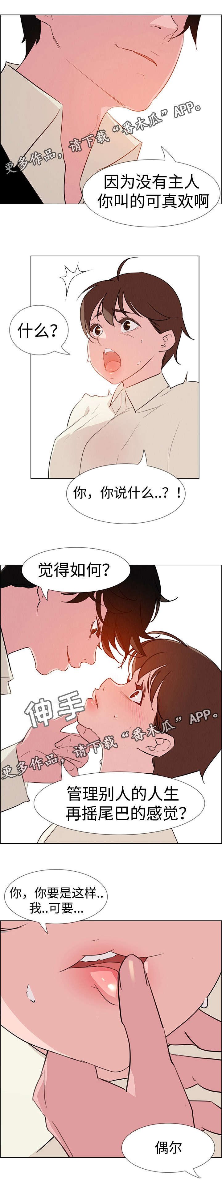 第43章：我期待你