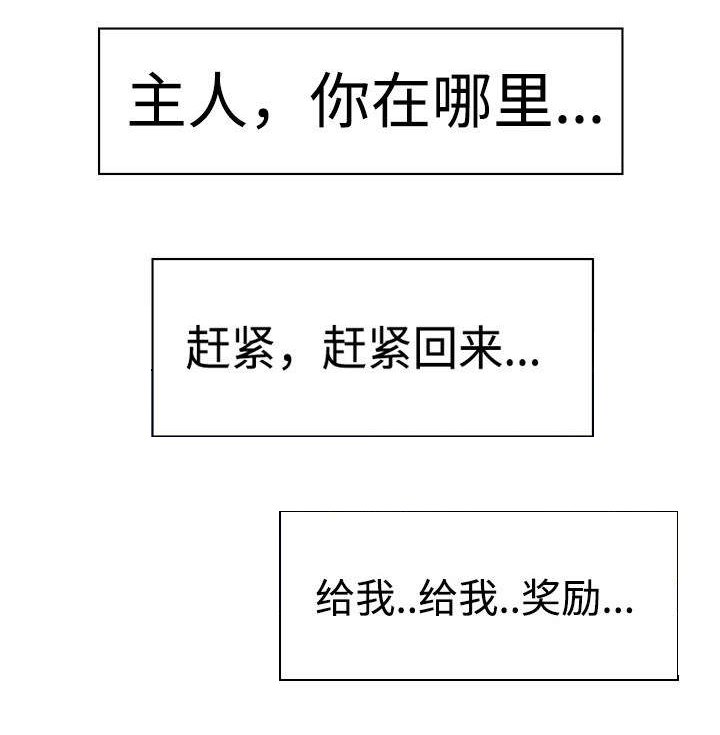 第45章：公平对战