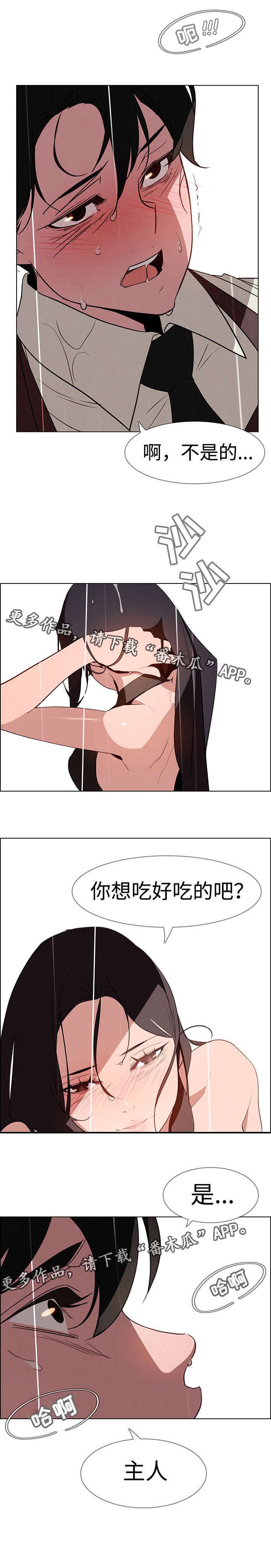 第65章：雨让我发狂(完结）