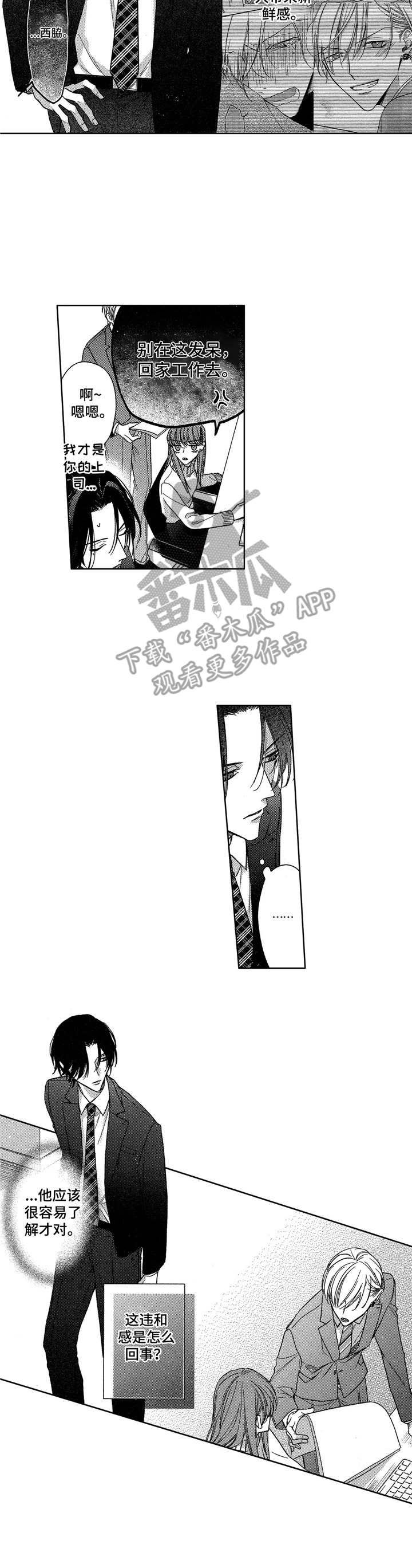第17章：策划案