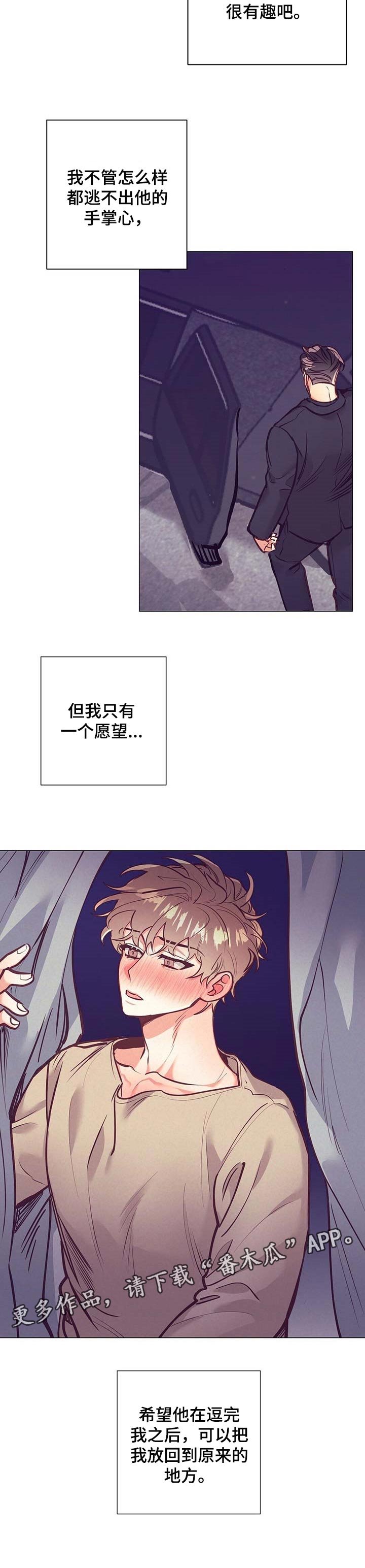 第26章：愿望