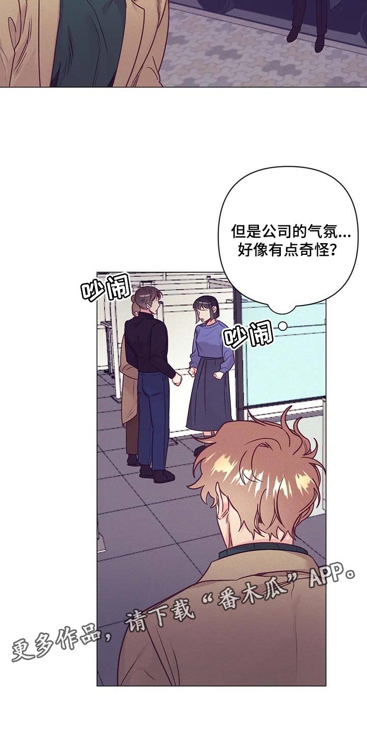 第38章：奇怪的氛围
