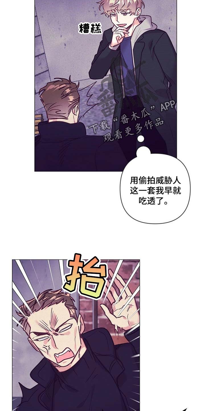 第41章：展示会