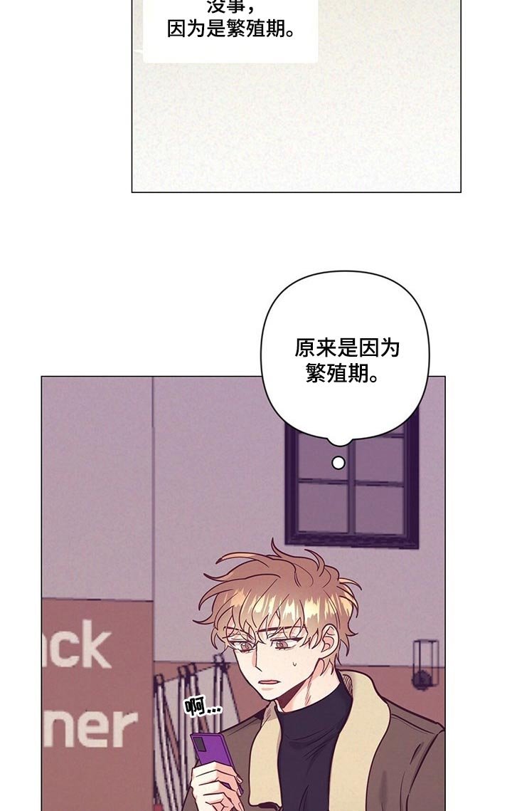 第49章：又在撩人
