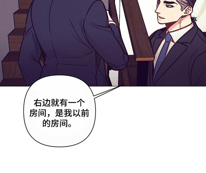 第52章：心疼