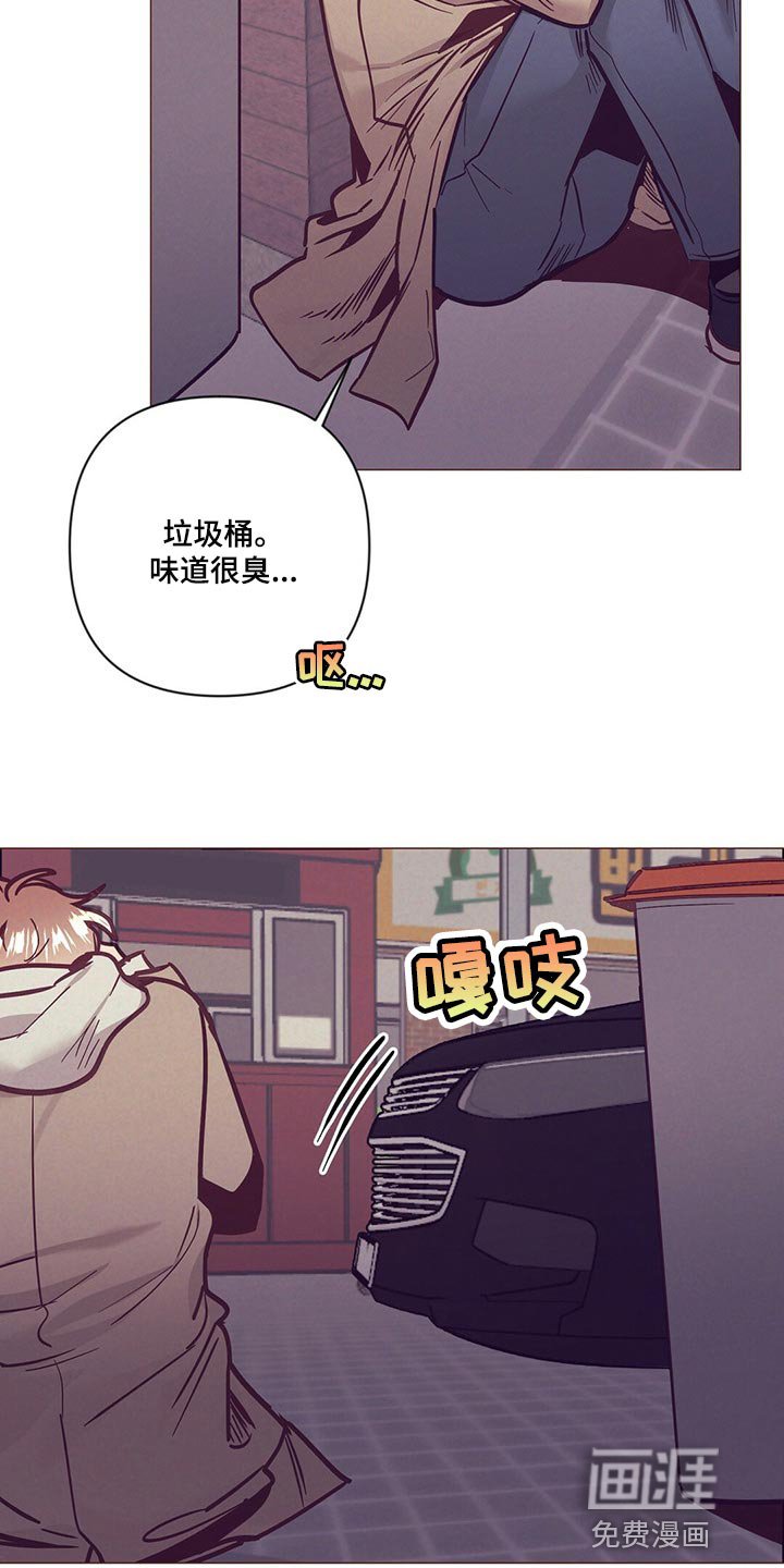 第56章：结婚的人是你