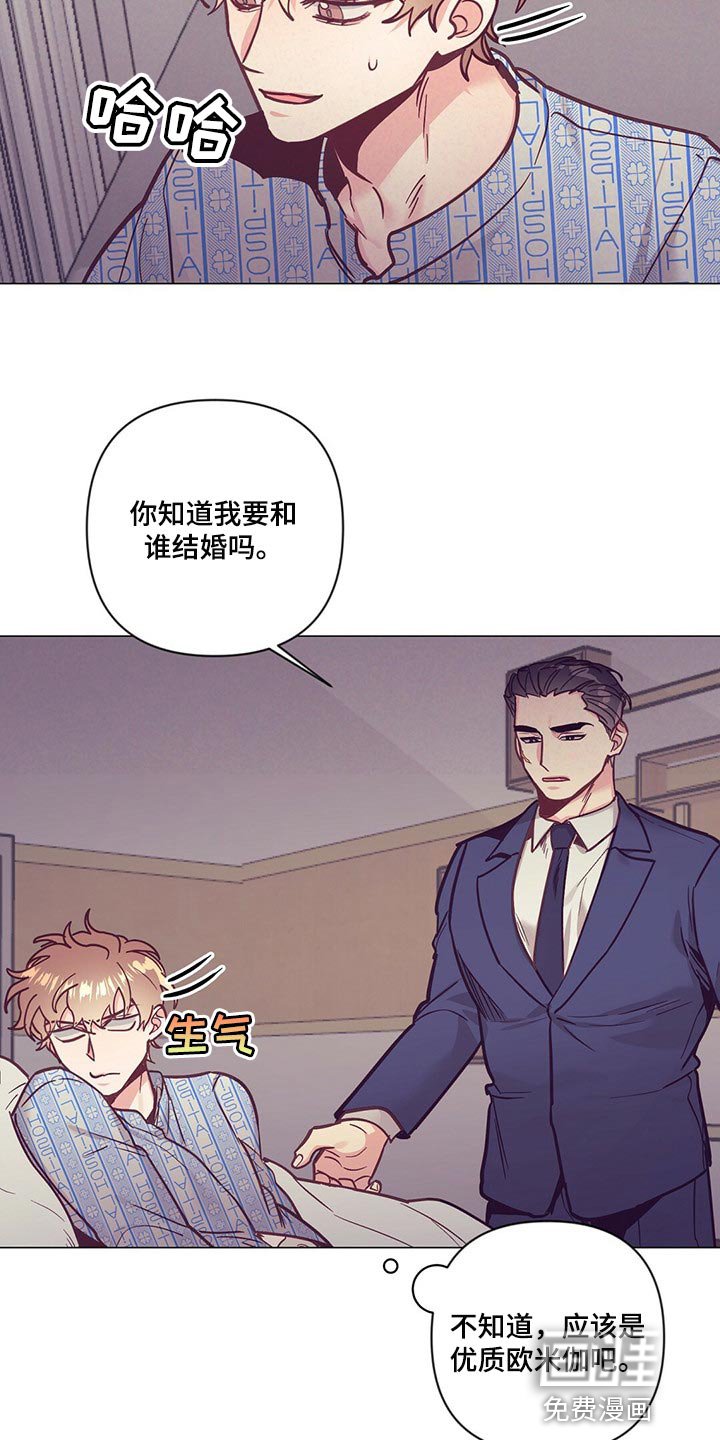 第56章：结婚的人是你