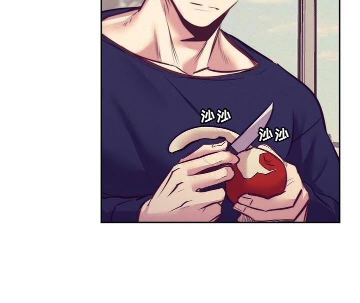 第81章：【番外】打个招呼吧