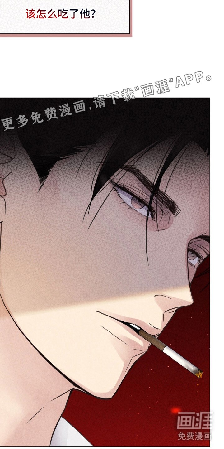 第17章：计划