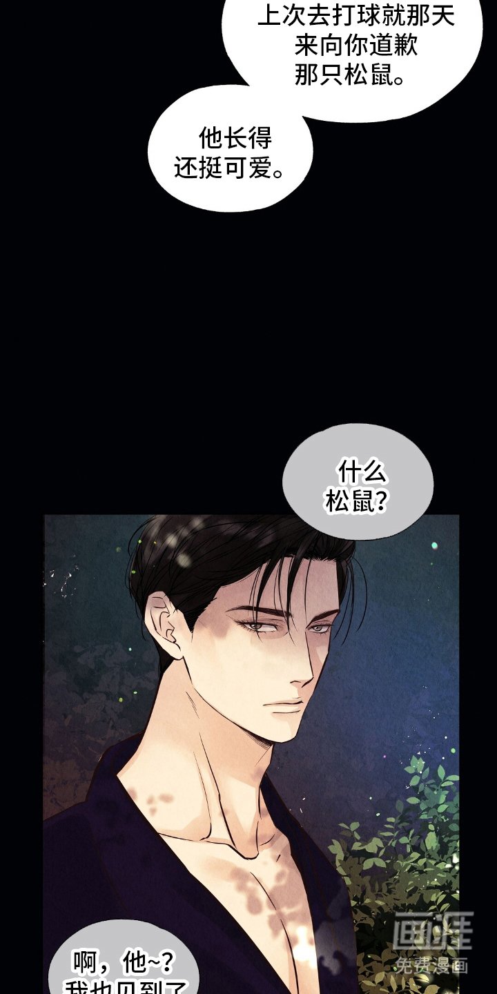 第19章：不是偷看