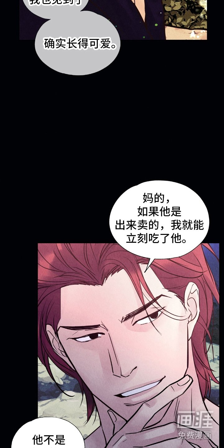第19章：不是偷看