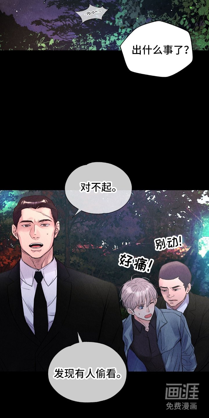 第19章：不是偷看