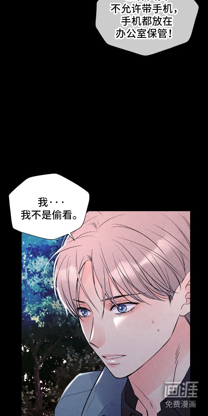 第19章：不是偷看
