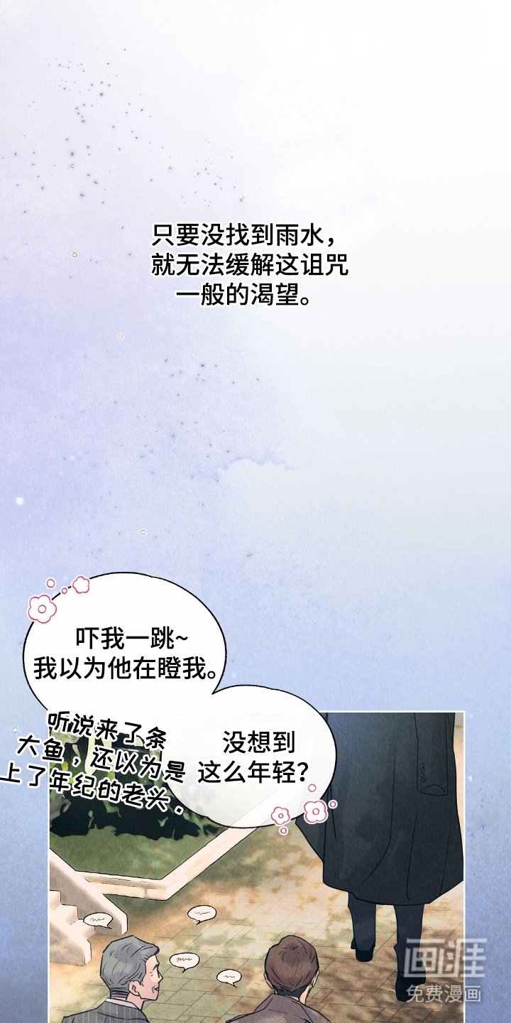 第2章：雨水
