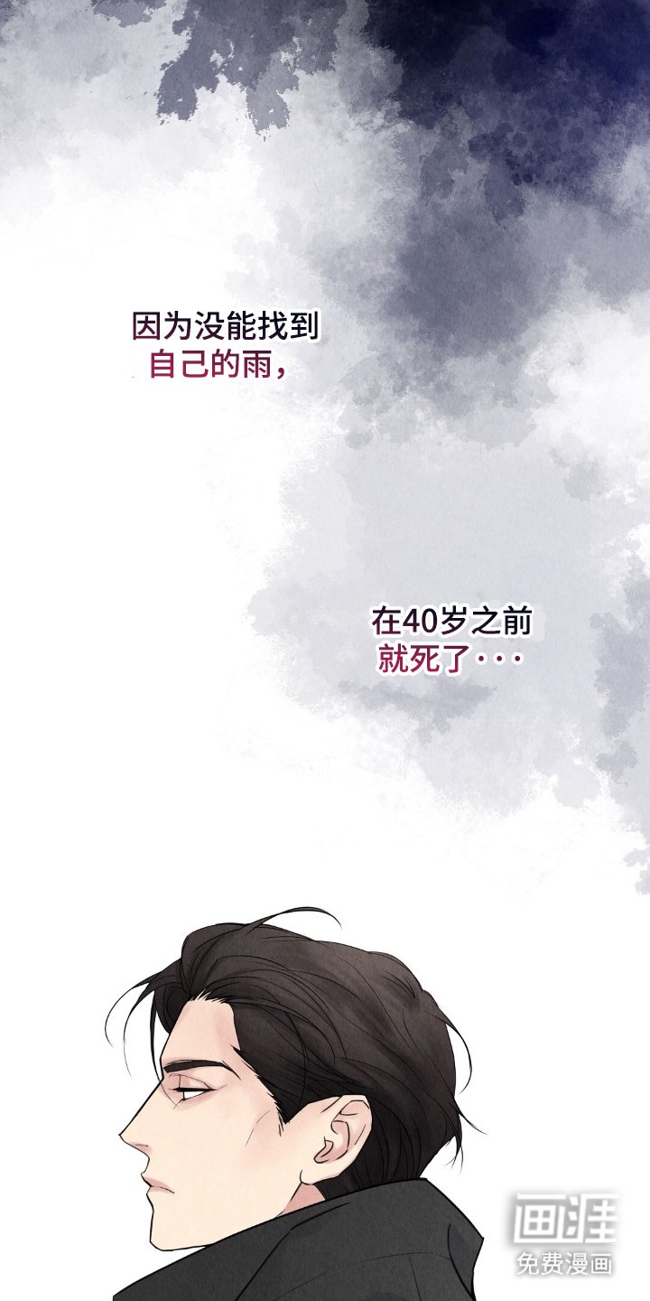 第2章：雨水