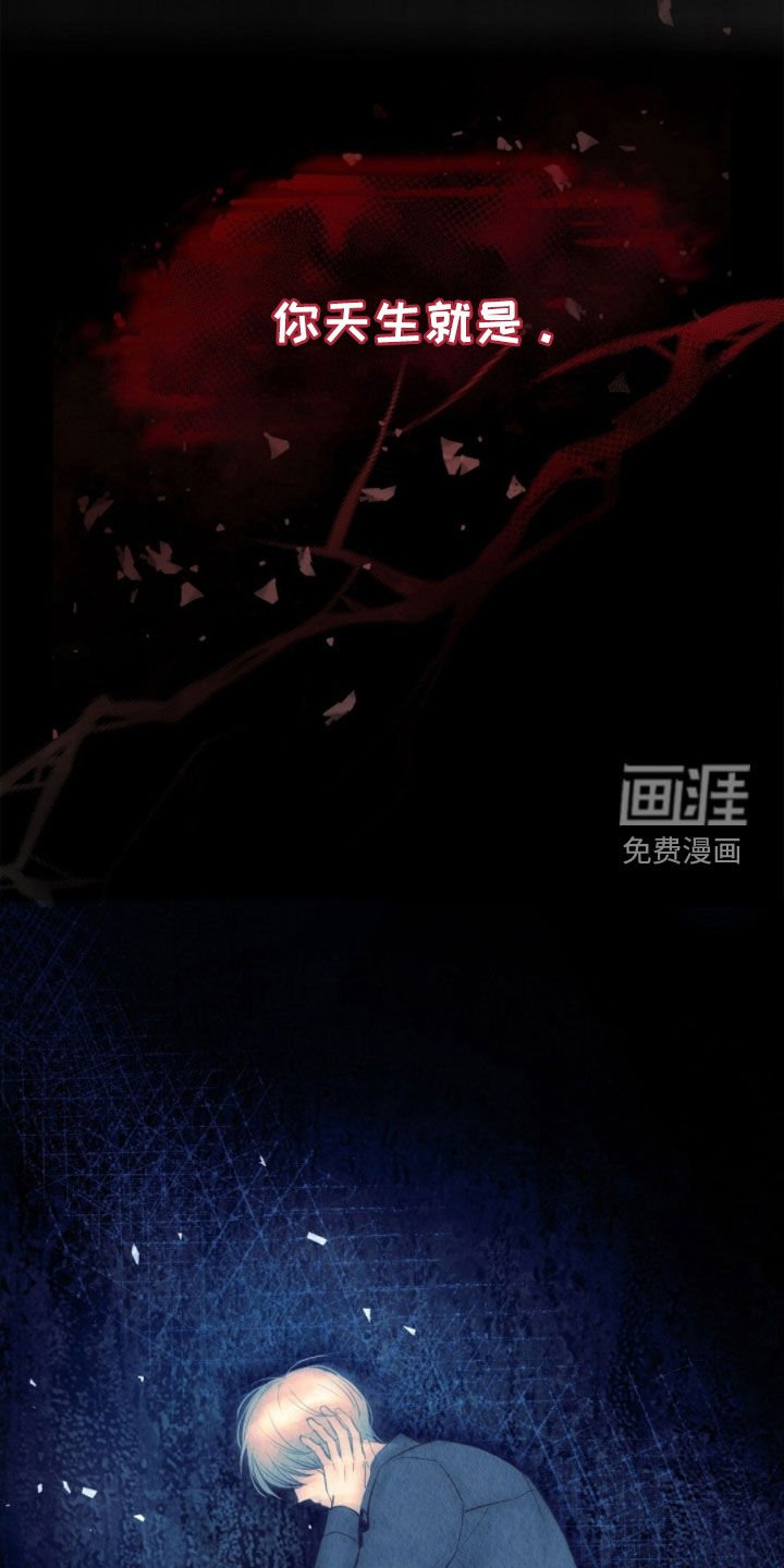 第37章：出逃失败