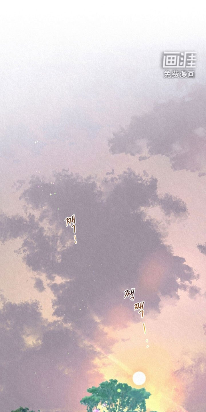 第49章：狐狸纹身