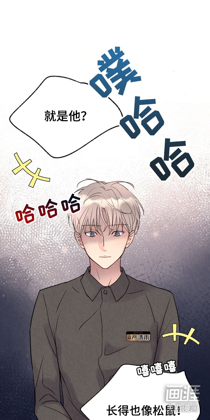 第8章：道歉