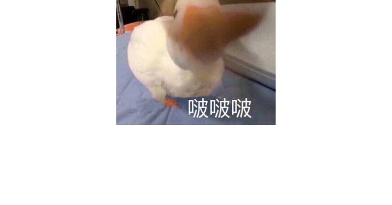 第14章：今天开始是夫妻