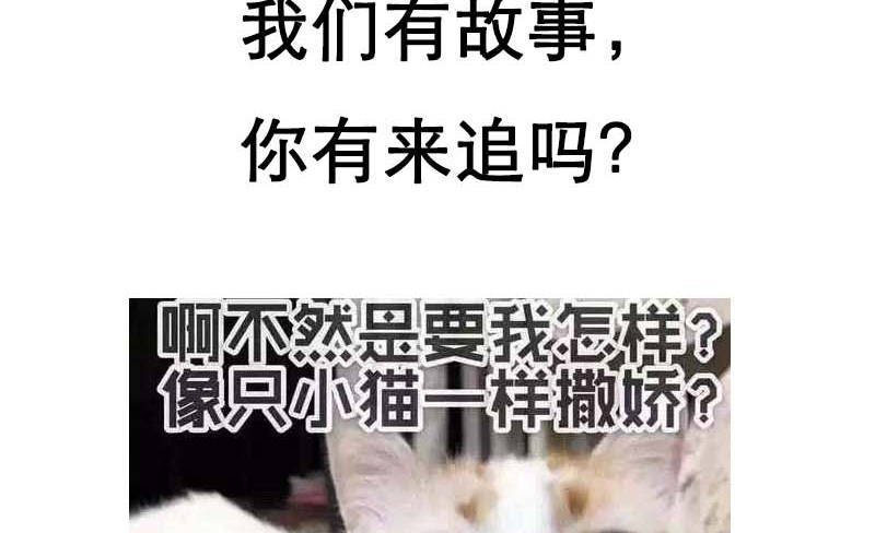 第14章：今天开始是夫妻