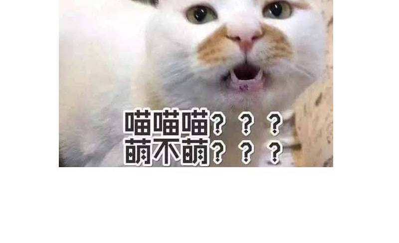 第14章：今天开始是夫妻
