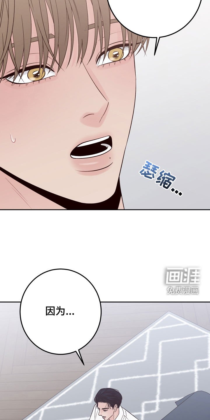 第108章：【番外完结】我们结婚吧