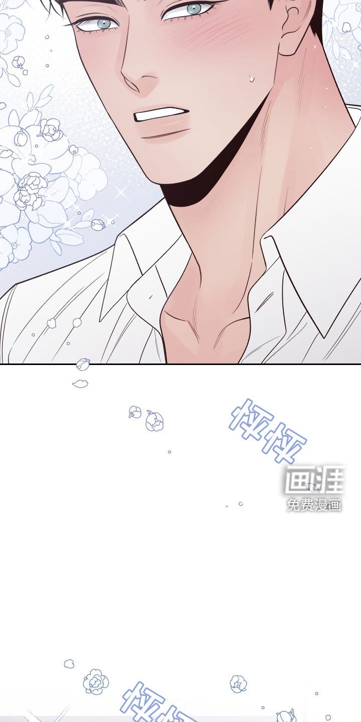 第108章：【番外完结】我们结婚吧