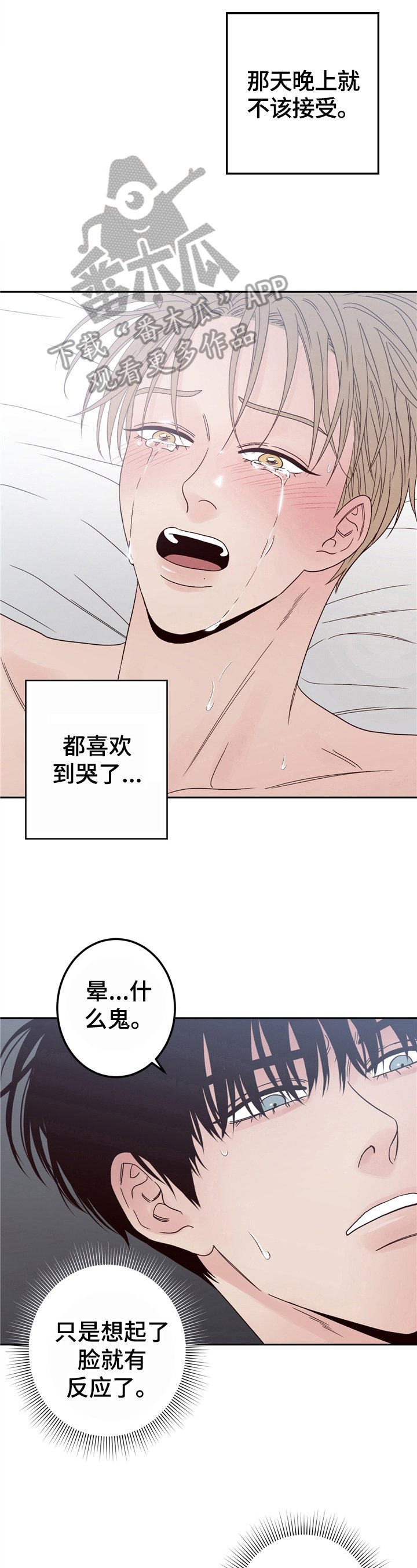 第13章：感想