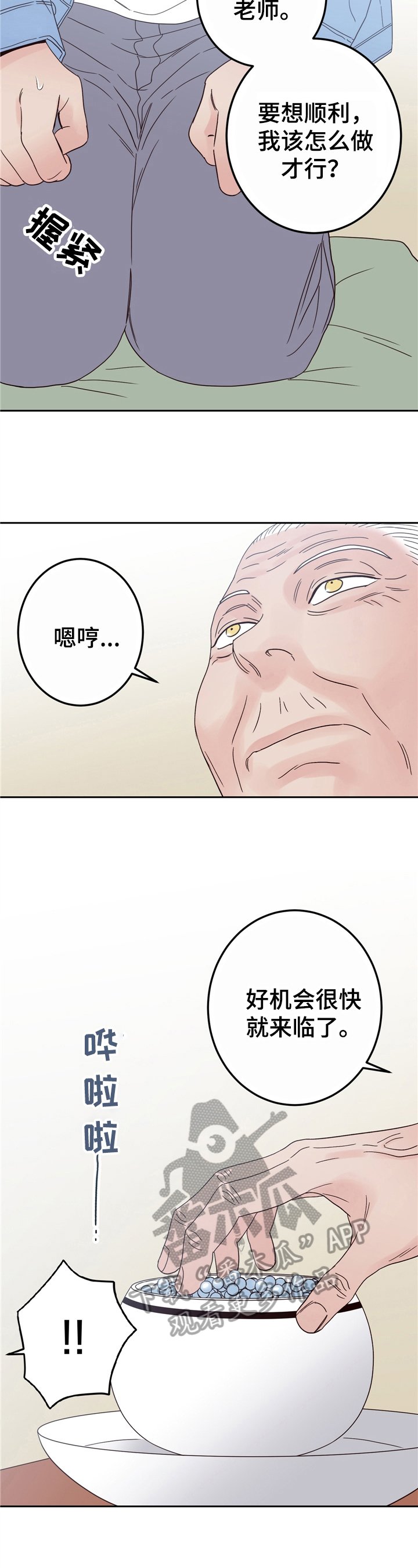 第15章：决定