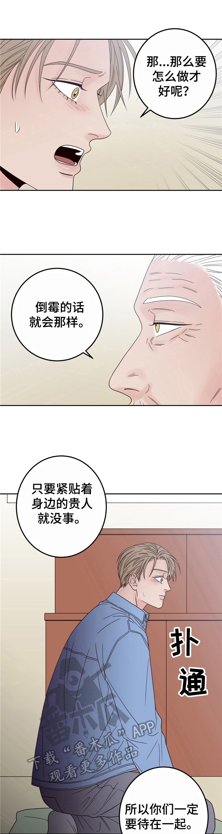 第15章：决定
