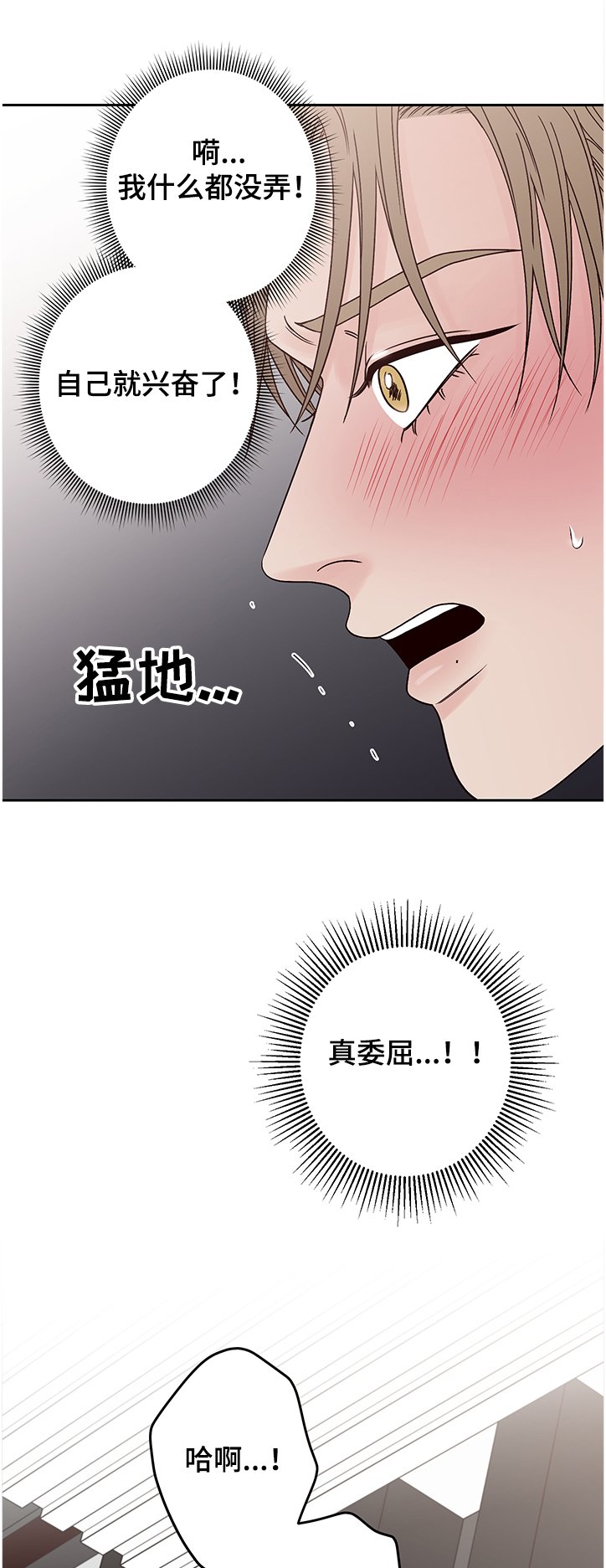 第40章：我来吩咐