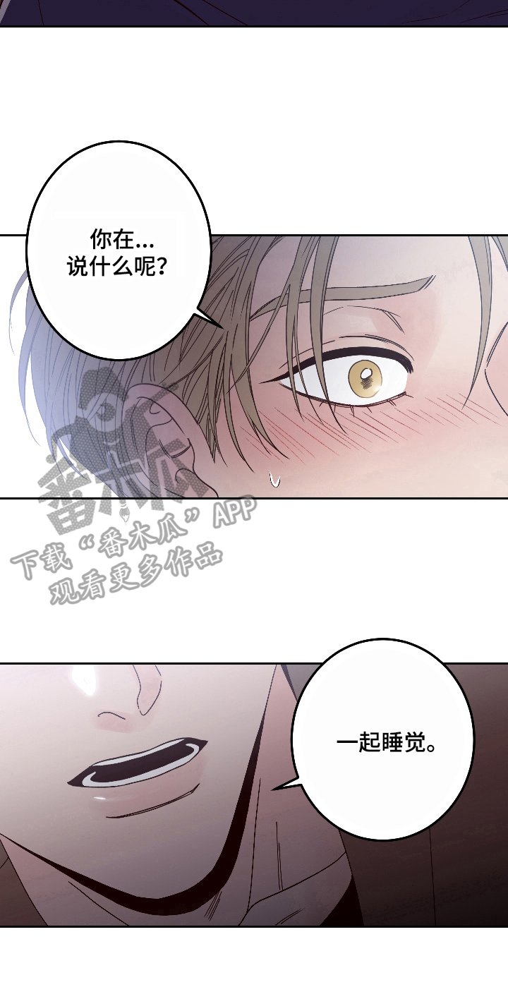 第5章：提议