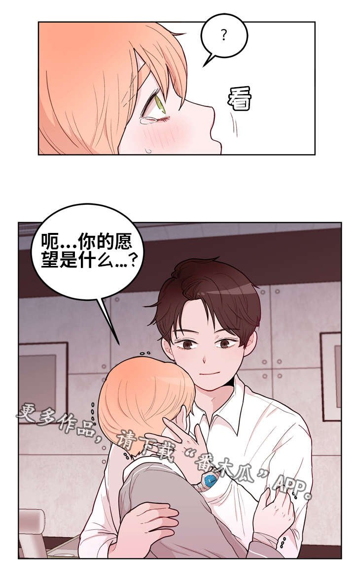 第14章：愿望